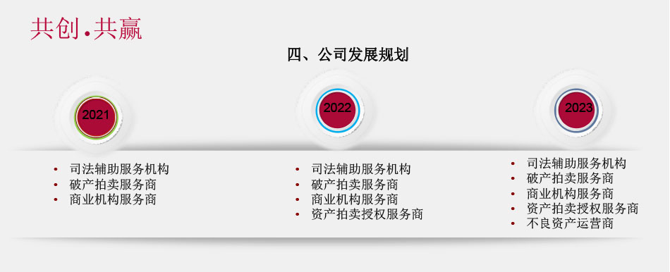 公司发展规划